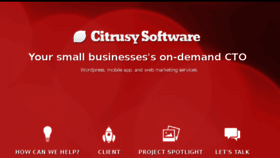 What Citrusy.com website looked like in 2013 (10 years ago)