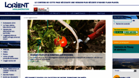 What Caplorient.com website looked like in 2014 (10 years ago)
