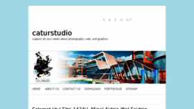 What Caturstudio.com website looked like in 2014 (10 years ago)