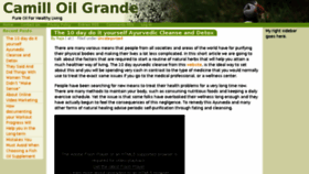 What Camilloilgrande.com website looked like in 2014 (10 years ago)