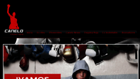 What Caneloteam.com website looked like in 2014 (11 years ago)