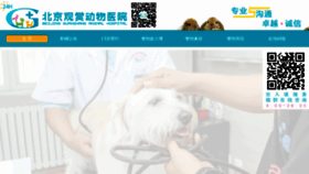 What Chinapet.com.cn website looked like in 2015 (9 years ago)