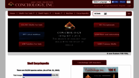 What Conchology.be website looked like in 2015 (11 years ago)