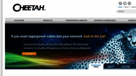 What Cheetahtech.com website looked like in 2015 (8 years ago)