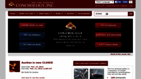 What Conchology.be website looked like in 2016 (10 years ago)