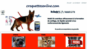 What Croquettesonline.com website looked like in 2016 (8 years ago)