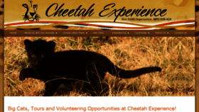 What Cheetahexperience.com website looked like in 2016 (7 years ago)