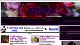 What Cotcot.hu website looked like in 2016 (7 years ago)