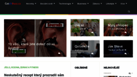 What Czechbuzz.cz website looked like in 2016 (10 years ago)