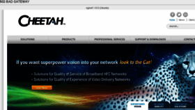 What Cheetahtech.com website looked like in 2016 (7 years ago)