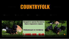 What Countryfolk.ru website looked like in 2016 (7 years ago)