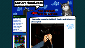 What Catoverload.com website looked like in 2016 (7 years ago)