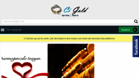 What Cigold.com.tr website looked like in 2016 (8 years ago)