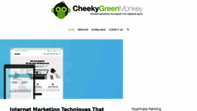 What Cheekygreenmonkey.com website looked like in 2016 (7 years ago)