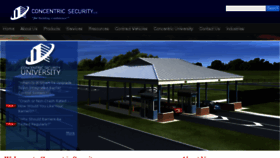 What Concentricsecurity.com website looked like in 2016 (7 years ago)