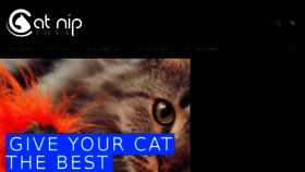 What Catniptoys.com website looked like in 2017 (7 years ago)