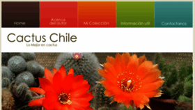 What Cactus-chile.cl website looked like in 2017 (7 years ago)