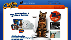 What Citikitty.com website looked like in 2017 (7 years ago)
