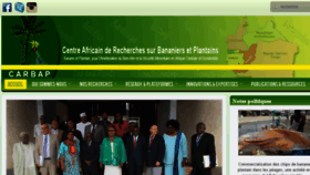 What Carbapafrica.org website looked like in 2017 (7 years ago)