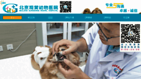 What Chinapet.com.cn website looked like in 2017 (7 years ago)
