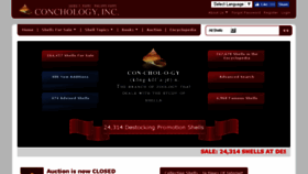 What Conchology.be website looked like in 2017 (9 years ago)