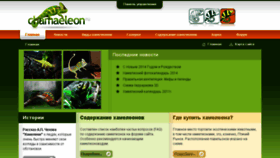 What Chamaeleon.ru website looked like in 2017 (7 years ago)