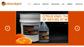 What Citrusdepot.net website looked like in 2017 (8 years ago)