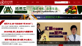 What Cce.cn website looked like in 2017 (6 years ago)