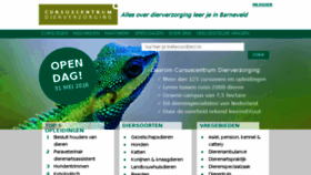 What Cursuscentrum.nl website looked like in 2017 (6 years ago)