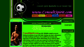 What Consultspirit.com website looked like in 2017 (6 years ago)