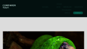 What Comparer-tout.org website looked like in 2017 (8 years ago)