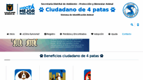 What Ciudadano4patas.com website looked like in 2017 (6 years ago)