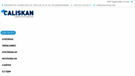 What Caliskancam.com website looked like in 2017 (6 years ago)