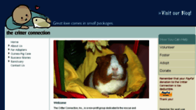What Ctguineapigrescue.org website looked like in 2017 (6 years ago)