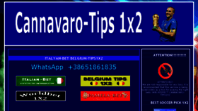 What Cannavaro-tips1x2.com website looked like in 2017 (6 years ago)
