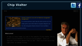 What Chipwalter.com website looked like in 2017 (6 years ago)
