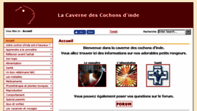What Chons.fr website looked like in 2017 (6 years ago)