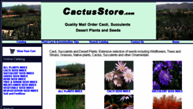 What Cactusstore.com website looked like in 2017 (6 years ago)