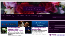 What Cotcot.hu website looked like in 2017 (6 years ago)