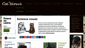 What Catstreet.ru website looked like in 2017 (6 years ago)
