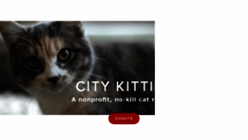 What Citykitties.org website looked like in 2017 (6 years ago)