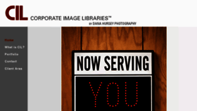 What Corporateimagelibraries.com website looked like in 2017 (6 years ago)