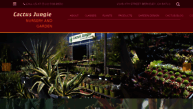 What Cactusjungle.com website looked like in 2017 (6 years ago)