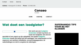 What Conseo.nl website looked like in 2017 (6 years ago)