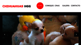 What Chihuahuashgg.com website looked like in 2017 (6 years ago)