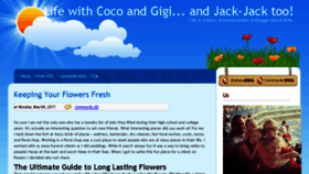 What Cocoandgigi.com website looked like in 2017 (6 years ago)
