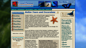 What Coralbreezetours.com website looked like in 2017 (6 years ago)