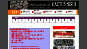What Cactusnishi.com website looked like in 2017 (6 years ago)