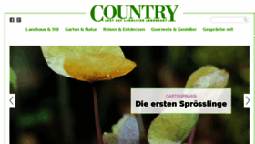 What Country-online.de website looked like in 2017 (6 years ago)