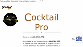 What Cocktail-pro.com website looked like in 2017 (6 years ago)